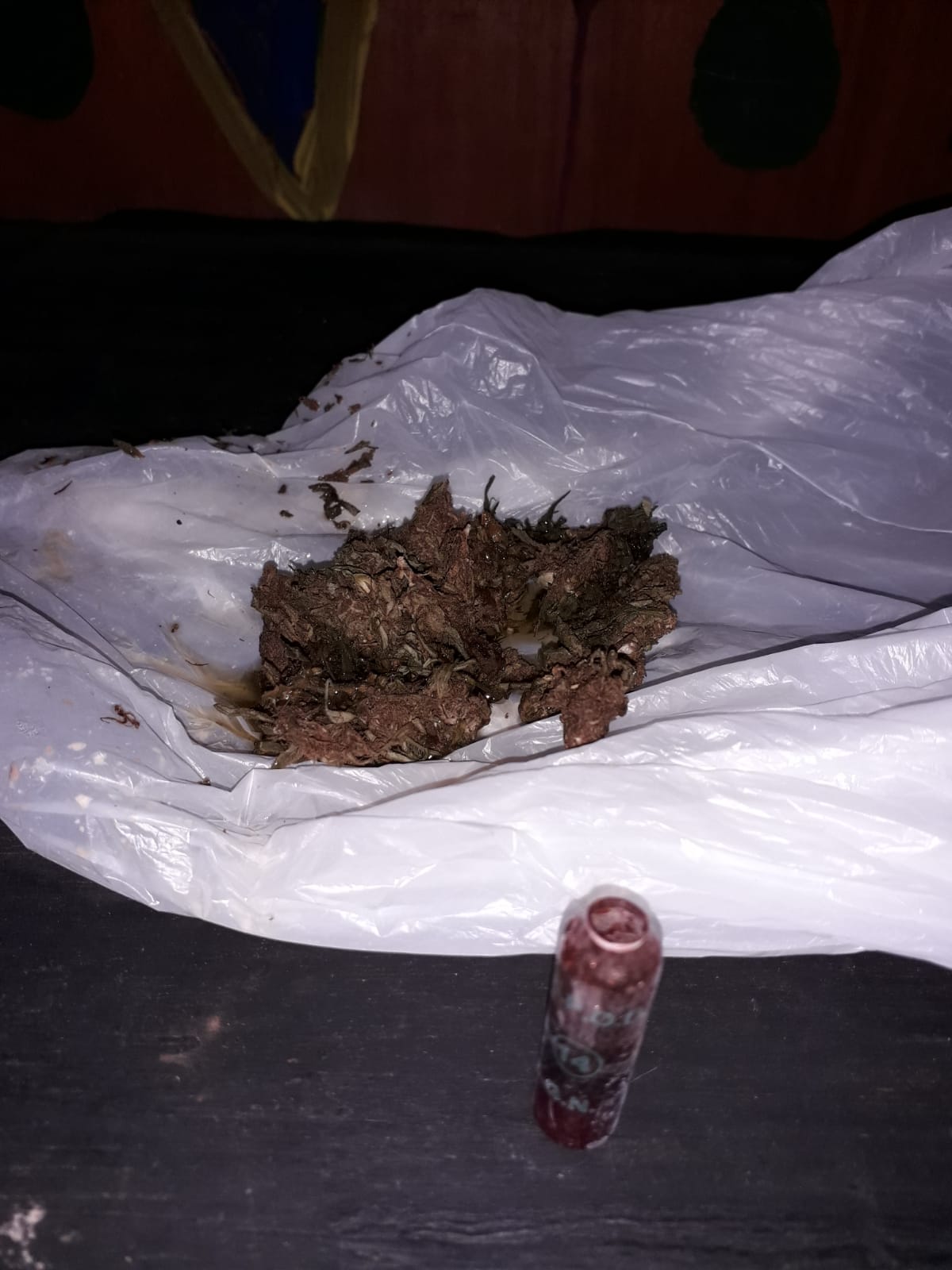 Gendarmería allanó un inmueble y detuvo a dos ciudadanos que comercializaban cannabis sativa en Posadas imagen-2