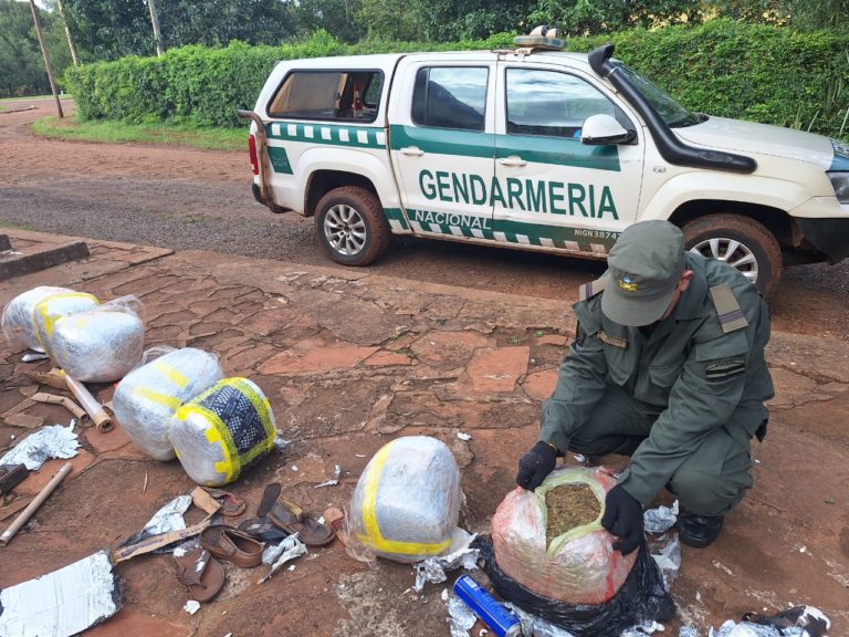 Envían más de 37 kilos de marihuana en encomiendas desde Misiones imagen-10