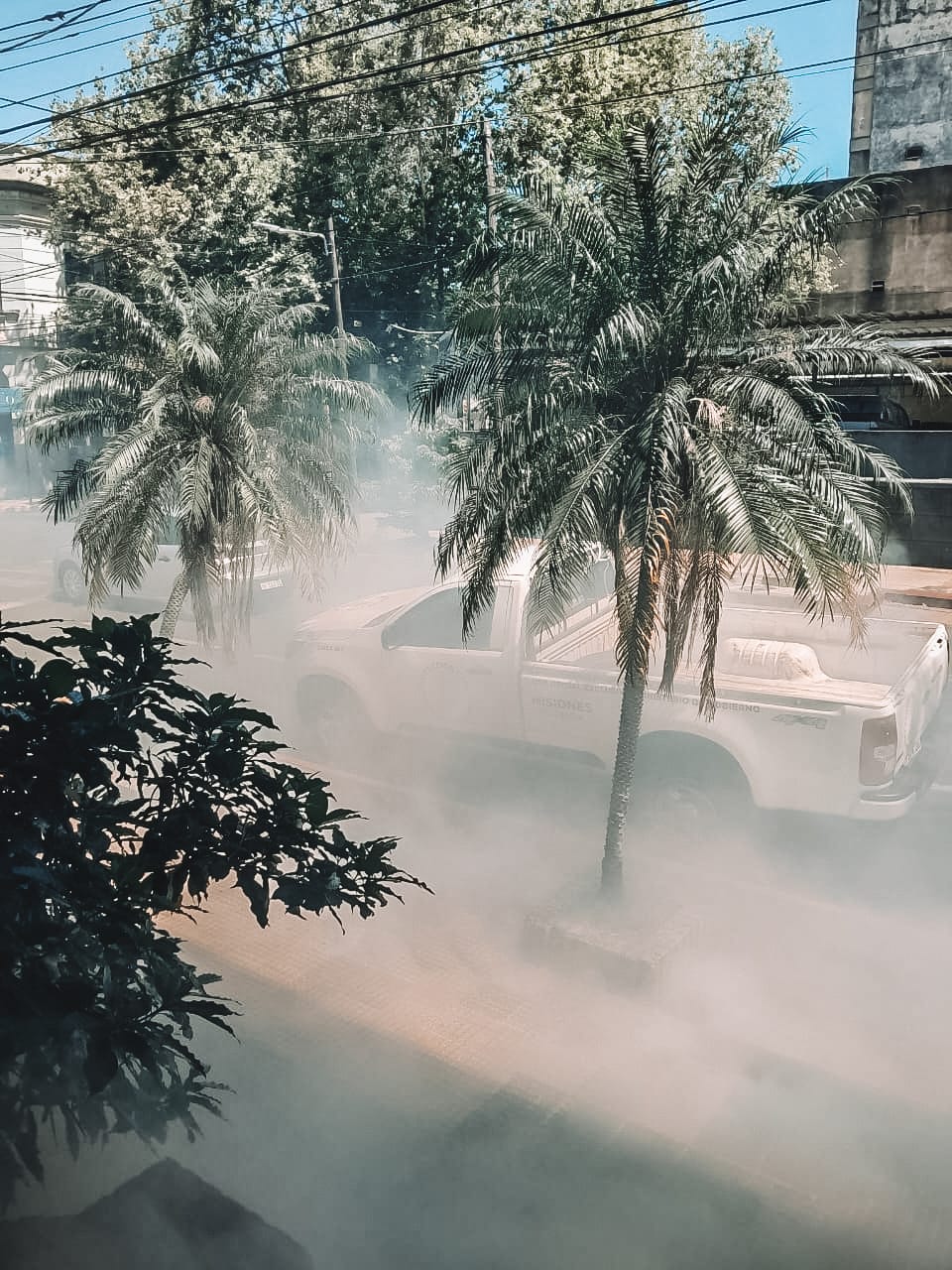 En la lucha contra el Dengue, Protección Civil fumiga reparticiones públicas imagen-1