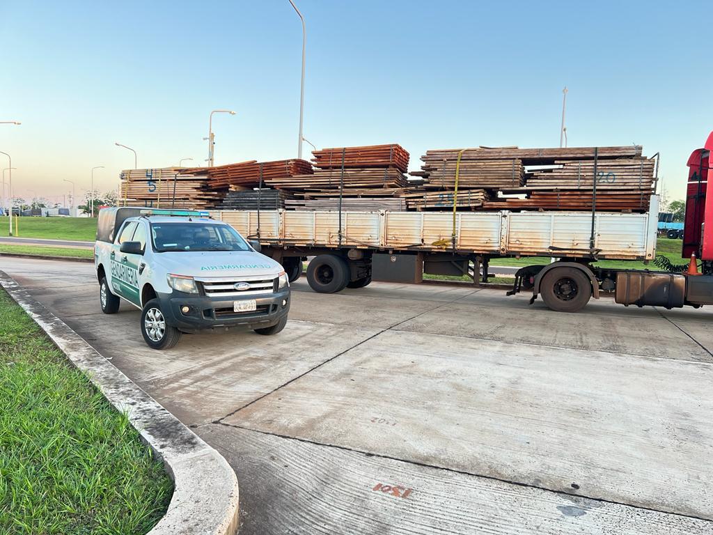 Interceptan un camión que trasladaba madera nativa ilegalmente imagen-1