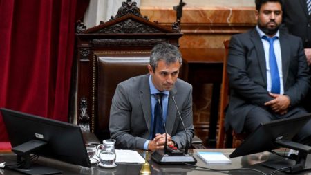 Martín Menem es el nuevo presidente de la Cámara de Diputados imagen-7