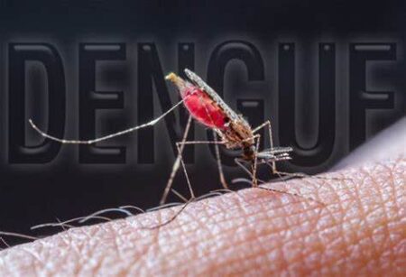 Viajes en épocas de Fiestas: reiteran a los viajeros tomar precauciones para evitar casos de Dengue, Chikunguña y Zika imagen-6