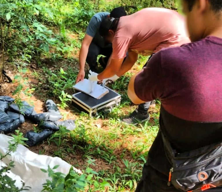 Patrullajes y tareas de inteligencia: policias detectaron un escondite de droga y secuestraron marihuana imagen-19