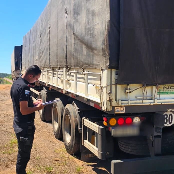 Tres camiones que transportaban soja fueron retenidos por distintas irregularidades imagen-4