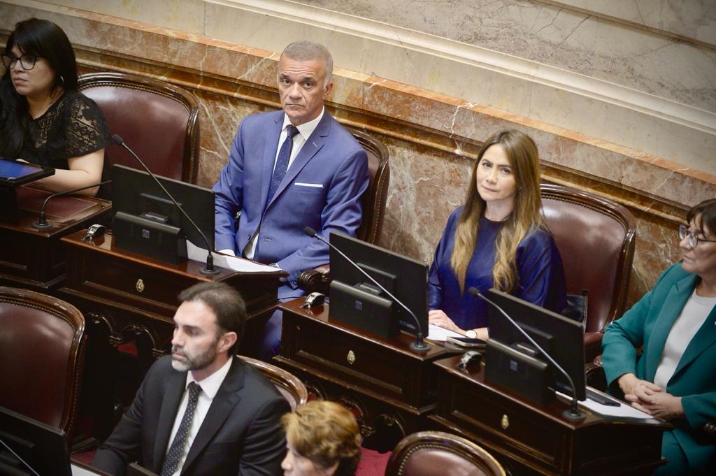 Senado: Arce y Rojas Decut acompañaron al oficialismo para dar institucionalidad imagen-2