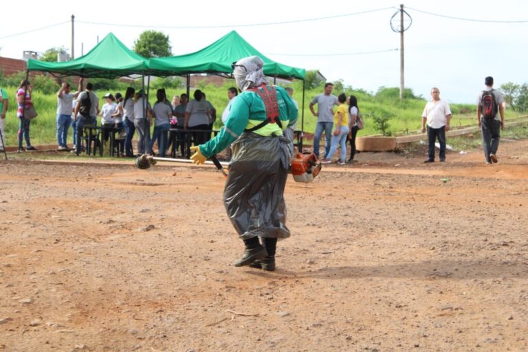 Misiones gestiona recursos ante Nación para la lucha contra el Dengue imagen-49