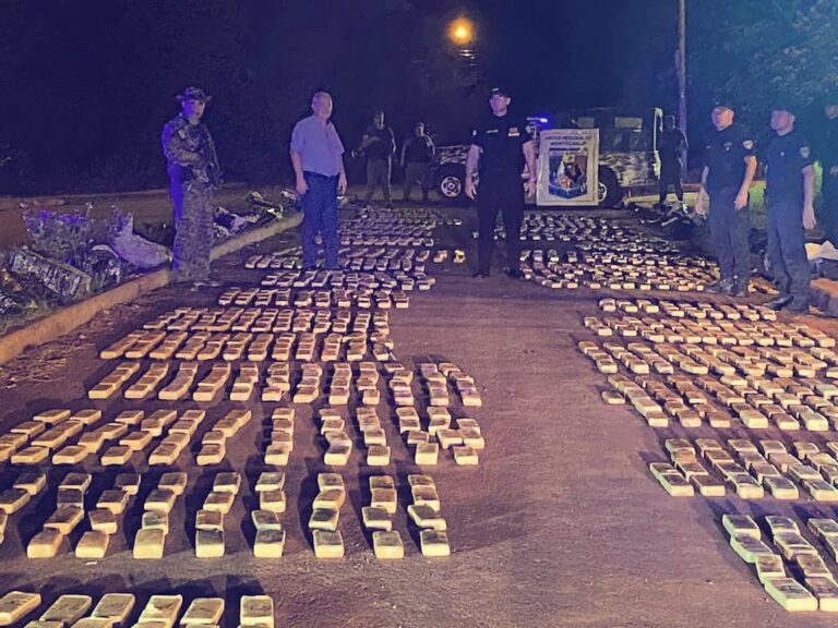 La Policía secuestró casi una tonelada de marihuana oculta en una zona rural de Montecarlo imagen-17