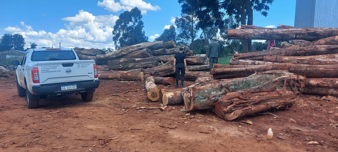 En un operativo conjunto entre la Policía y Ecología se secuestró gran cantidad de madera nativa en San Vicente imagen-1