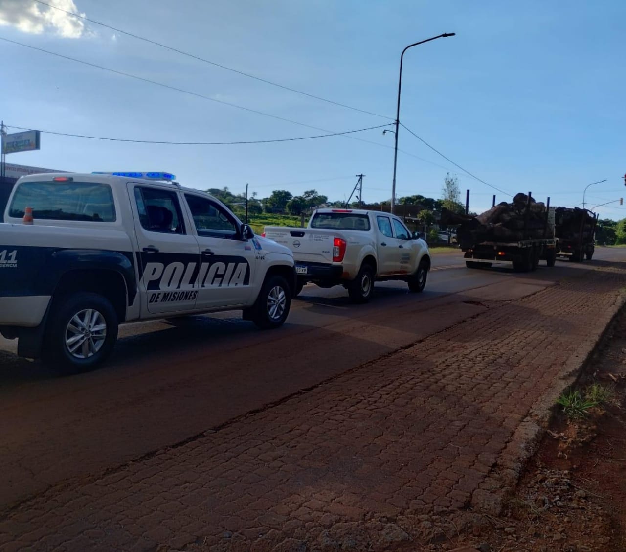En un operativo conjunto entre la Policía y Ecología se secuestró gran cantidad de madera nativa en San Vicente imagen-2