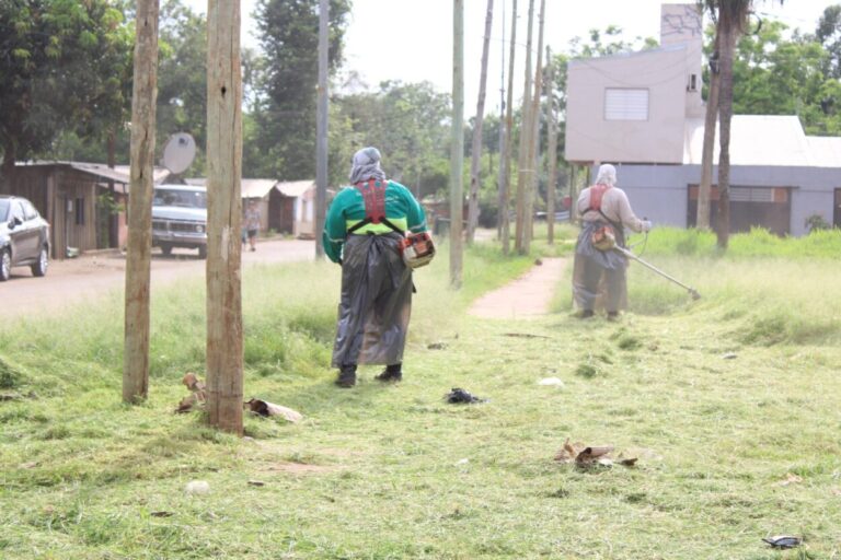 Contra el Dengue: "casa por casa" intensifican los operativos de control focal en los barrios posadeños imagen-5