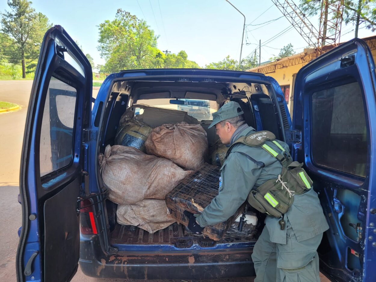 Frustraron intento de traslado de 300 kilos de marihuana en la zona de Santo Pipó imagen-4