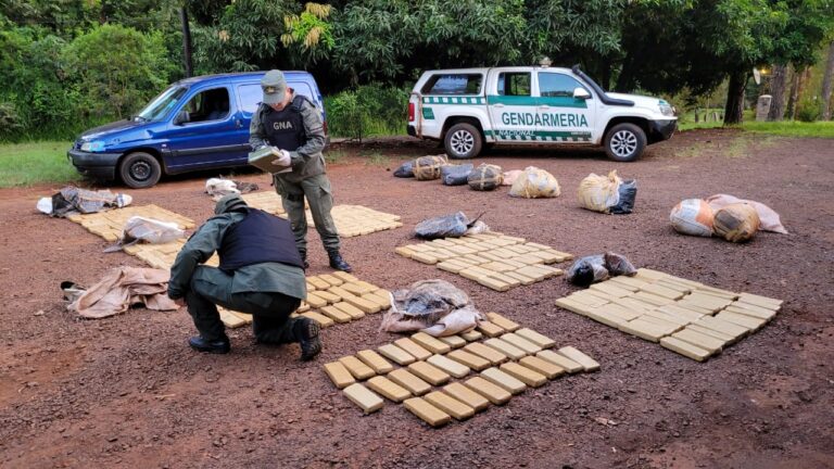 Frustraron intento de traslado de 300 kilos de marihuana en la zona de Santo Pipó imagen-11