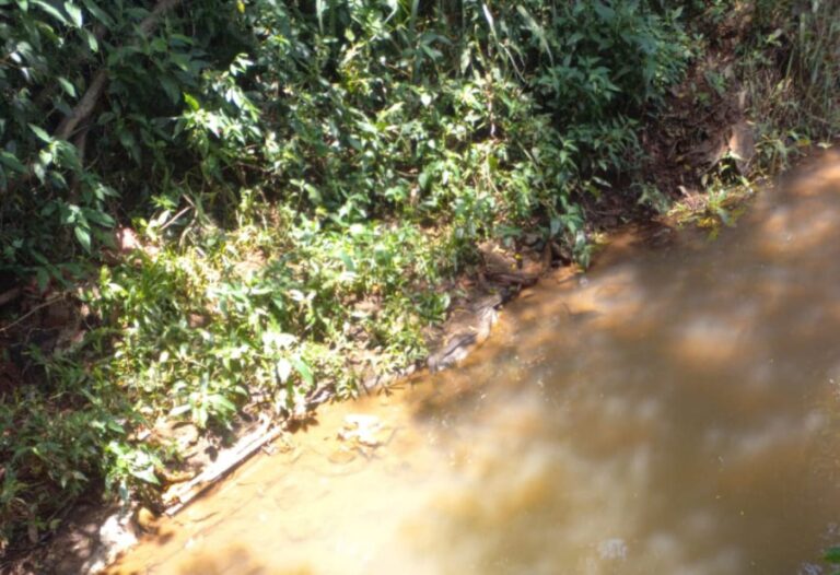 Un joven murió ahogado en un arroyo de Jardín América imagen-25