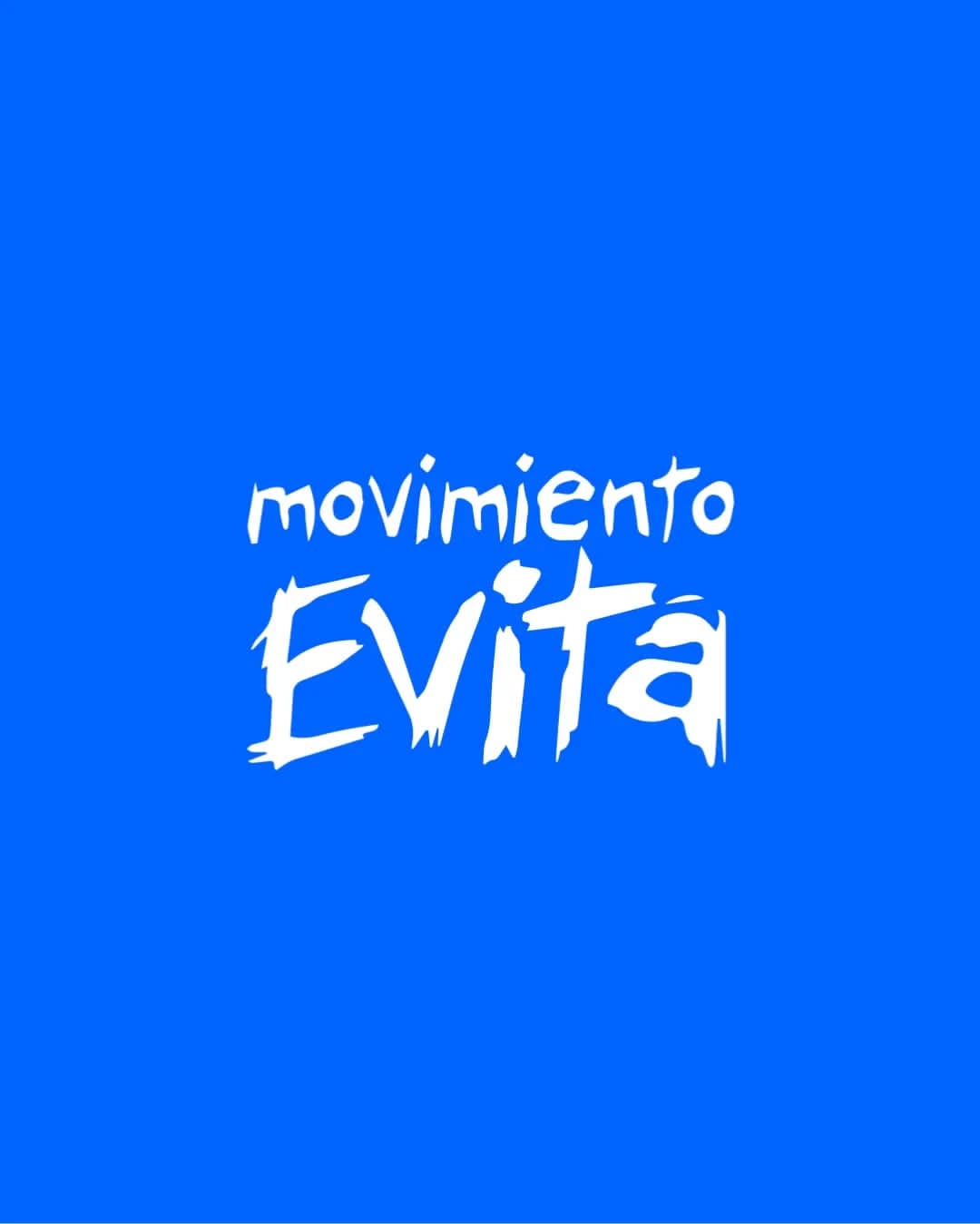 Movimiento Evita: "Frente a cada avance, una respuesta; frente a cada provocación, inteligencia" imagen-22