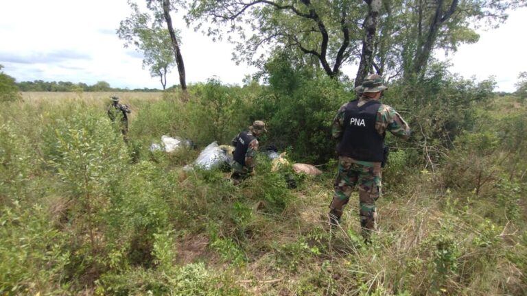 Incautan más de 100 kilos de marihuana en Misiones imagen-22