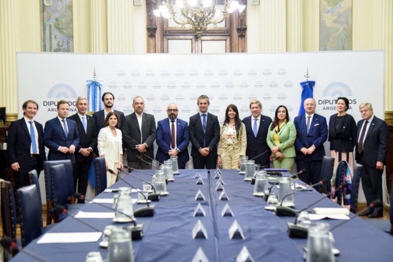 El misionero Fernández, de Innovación Federal, participó del encuentro de diputados nacionales con una delegación del Parlamento europeo imagen-28