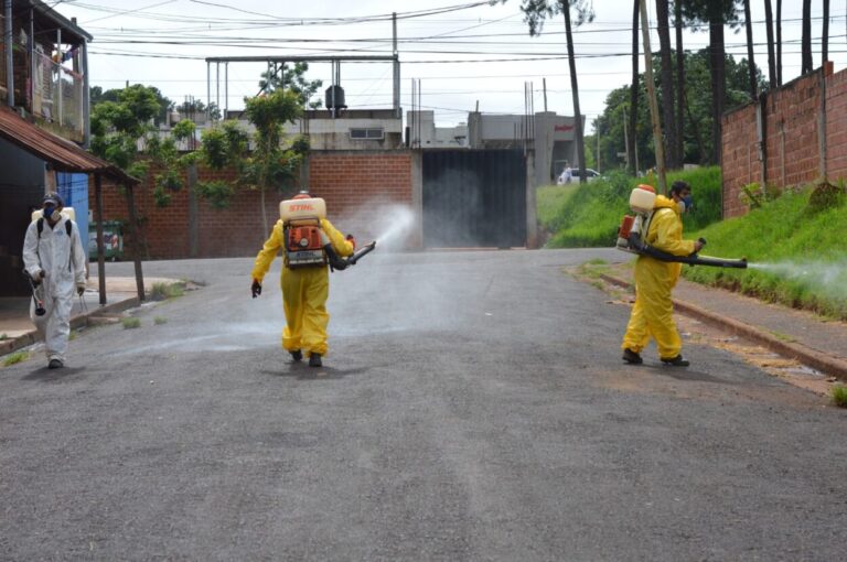 Contra el Dengue: Intensifican tareas de prevención y apelan a la colaboración de la comunidad imagen-50