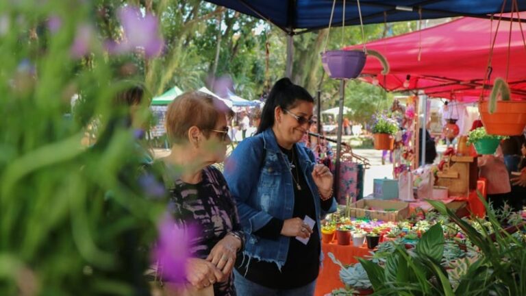 El Paseo Comercial “Posadas Siempre Linda” recibe las fiestas de fin de año con variedades de productos imagen-34