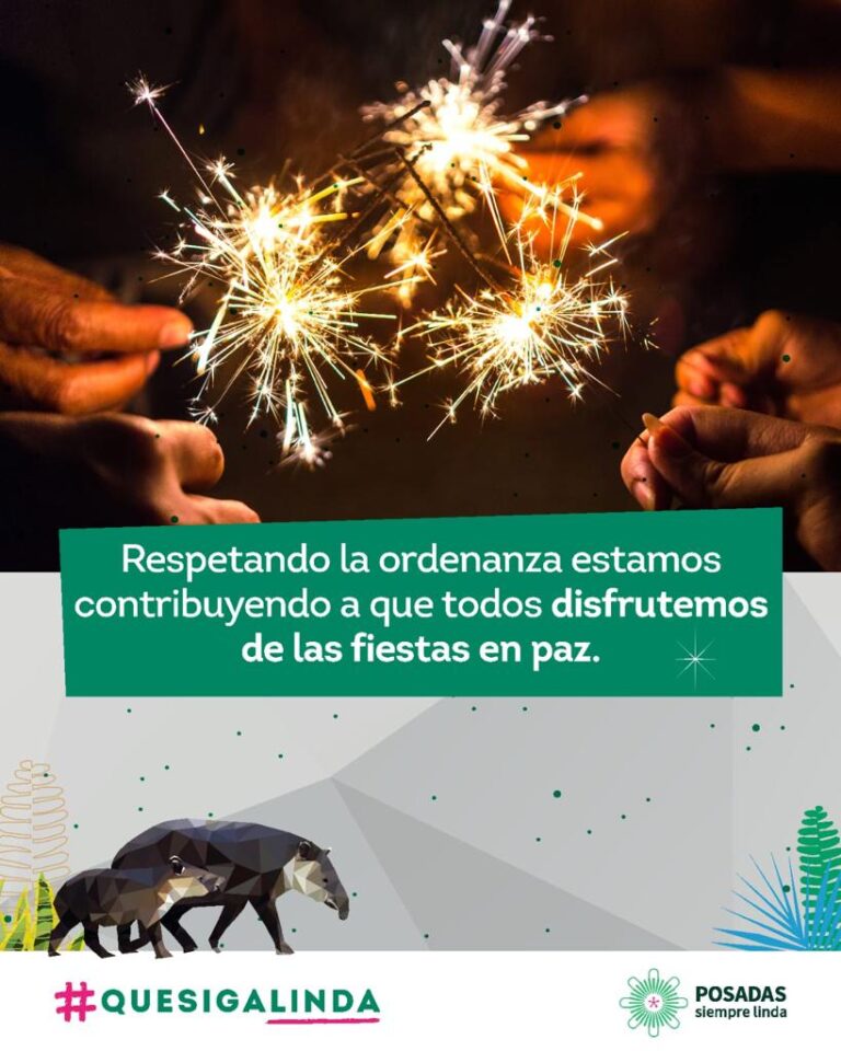 Festejos, ruidos excesivos y pirotecnia: Qué recomienda el municipio imagen-1