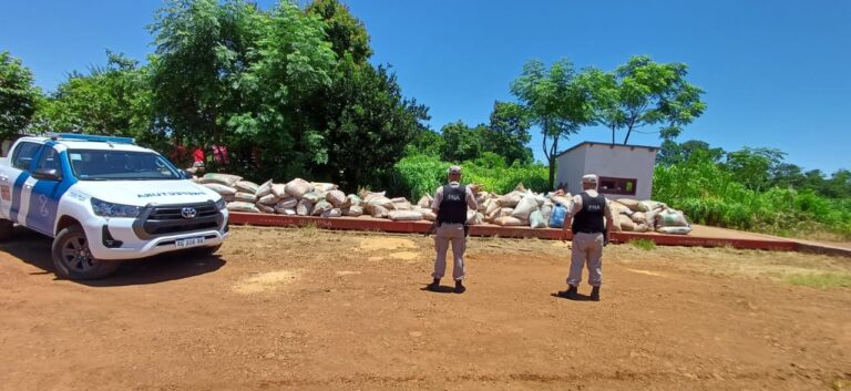 Incautan más de nueve toneladas de soja ilegal en la costa de El Soberbio imagen-30