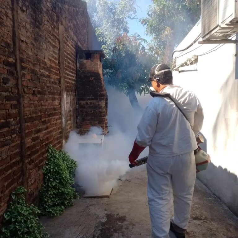 Brote de Dengue: resaltan la importancia de la prevención y el hábito del descacharrado imagen-6