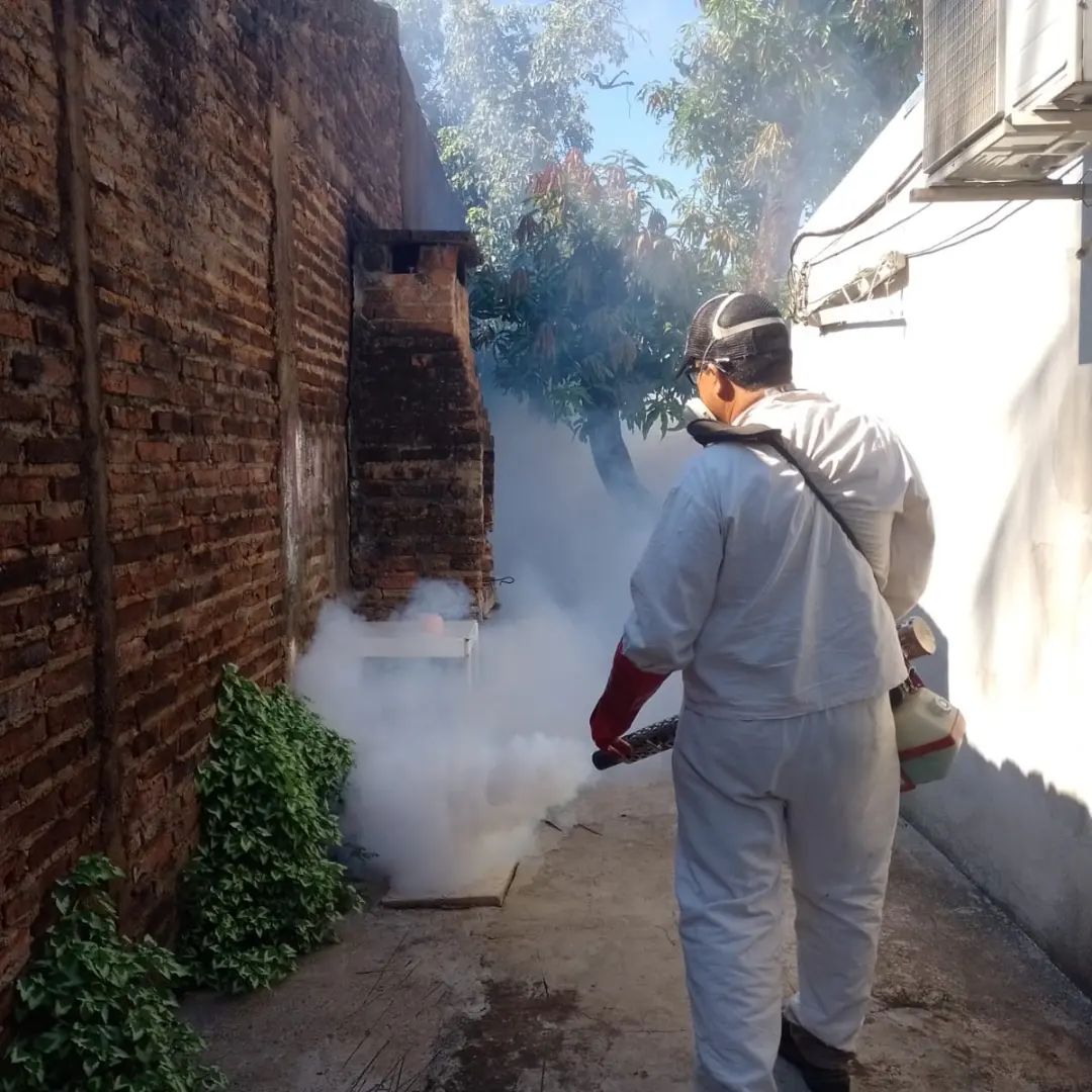 Contra el Dengue: continúan tareas de bloqueo epidemiológico en los barrios posadeños imagen-4