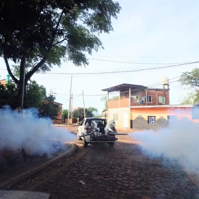 Contra el Dengue: continúan tareas de bloqueo epidemiológico en los barrios posadeños imagen-45