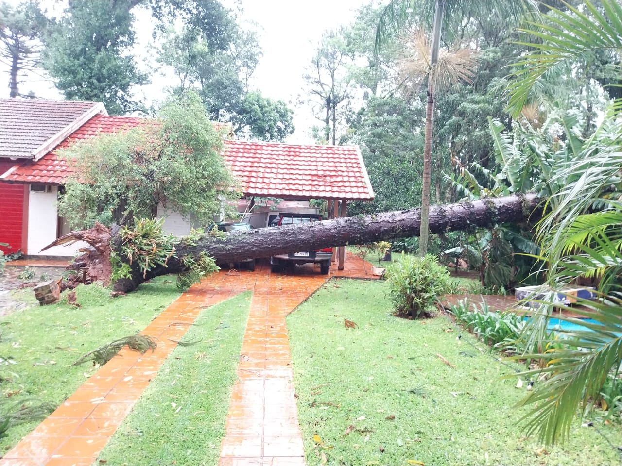 Temporal: en Oberá activaron el Comité de Emergencias para brindar asistencia a los afectados imagen-4