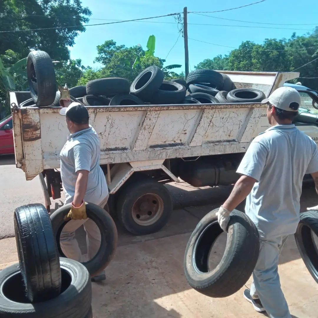 Contra el Dengue: ya se retiraron más de 1.300 neumáticos en desuso en las últimas cuatro semanas imagen-1