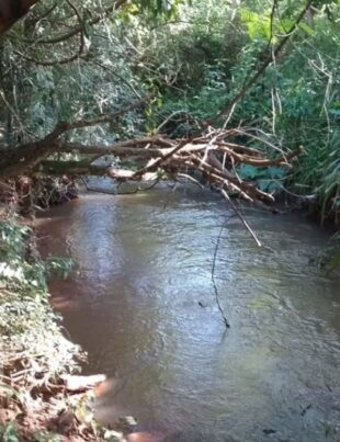 Andresito: Policías salvaron a una niña que fue rescatada sin signos vitales de las aguas de un arroyo imagen-2