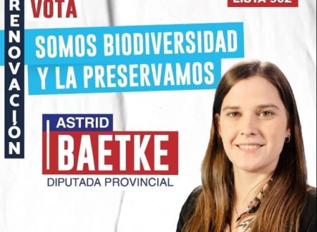 Legislatura: la obereña Baetke completará el mandato de Rojas Decut imagen-5