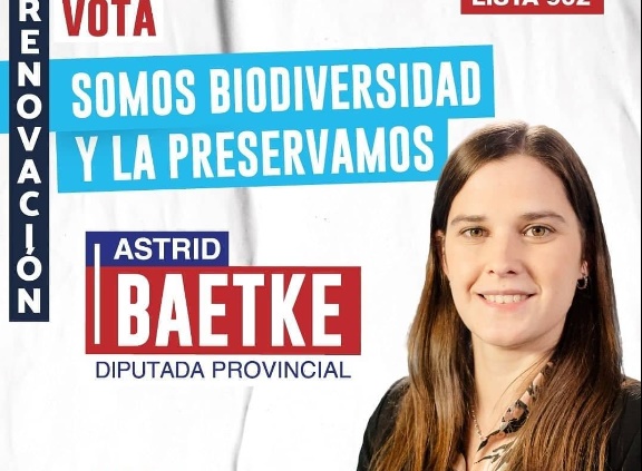 Legislatura: la obereña Baetke completará el mandato de Rojas Decut imagen-1