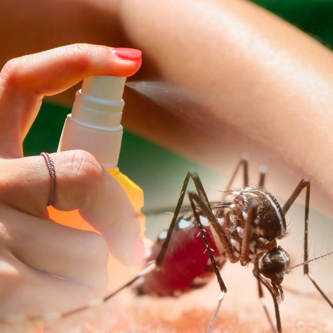 Dengue: exhortan a reforzar las medidas de prevención ante la situación epidemiológica imagen-1