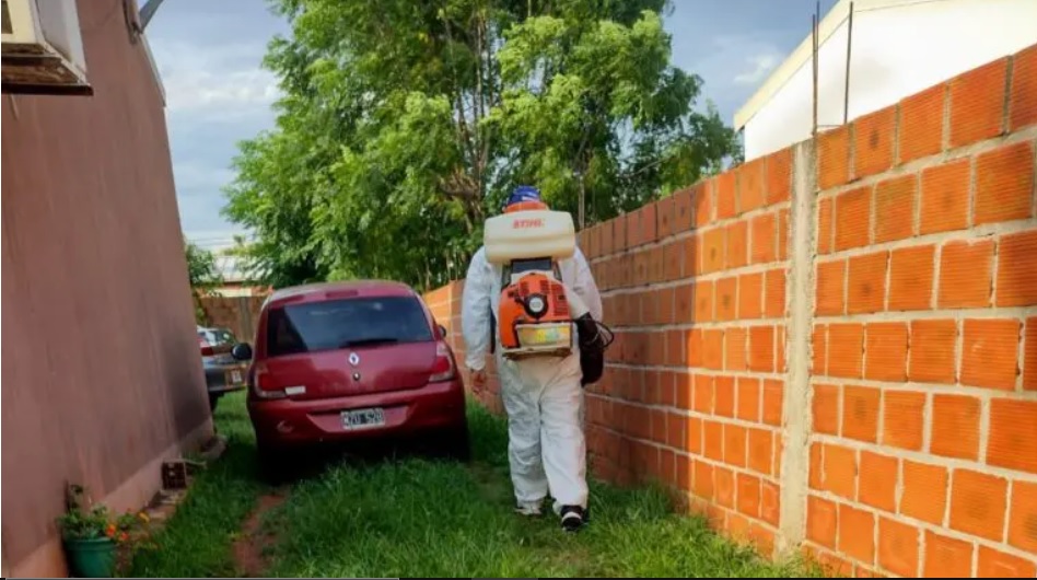 Dengue: Misiones enfrenta el clima y la propagación en Chaco, Corrientes, Brasil y Paraguay imagen-1