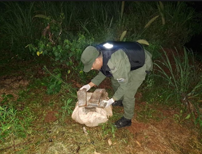 Patrulla de gendarmes descubre 17 kilos de marihuana entre la maleza en una zona de Puerto Esperanza imagen-1
