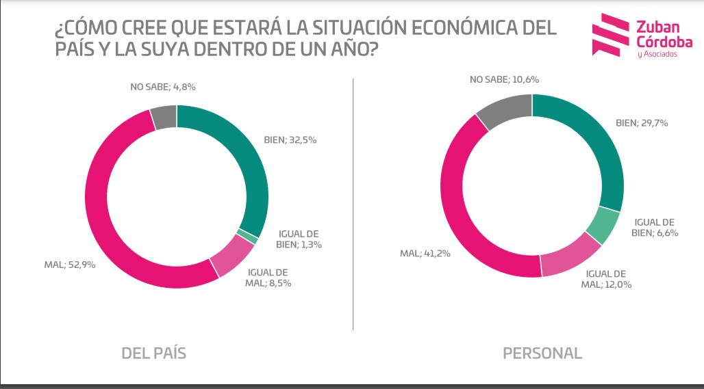 Encuesta: Milei pierde apoyo ciudadano a razón de 1% por día y ya tiene 55% de imagen negativa imagen-4