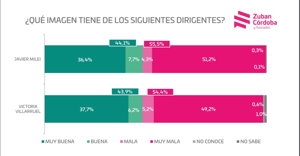 Encuesta: Milei pierde apoyo ciudadano a razón de 1% por día y ya tiene 55% de imagen negativa imagen-2