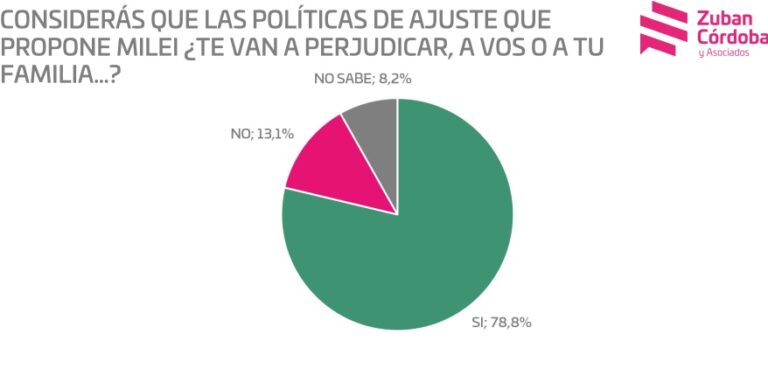 Encuesta: Un 80% cree que la política de ajuste que aplica Milei los afectará a ellos y sus familias imagen-14