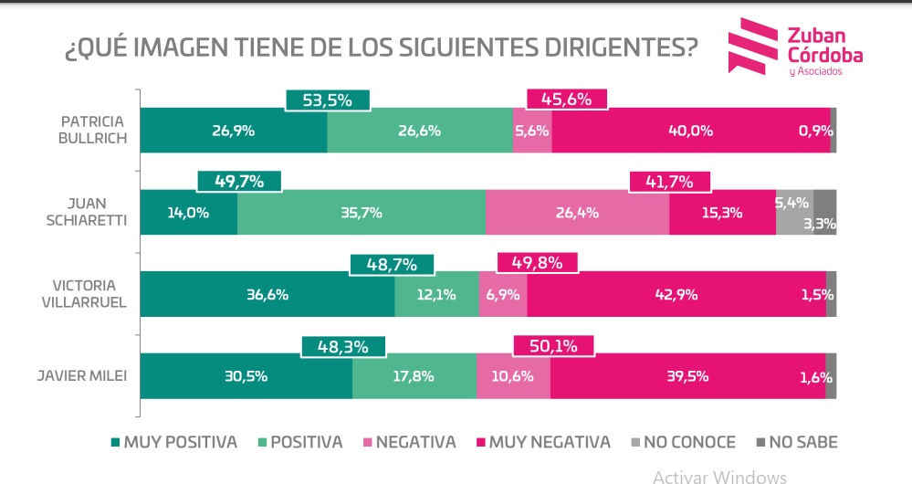 Encuesta: Un 80% cree que la política de ajuste que aplica Milei los afectará a ellos y sus familias imagen-12