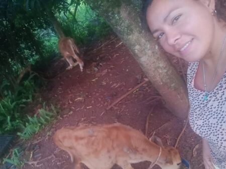 Agricultura familiar y sustentable «es producción y trabajo», señalan Agricultura familiar y sustentable "es producción y trabajo", señalan imagen-8