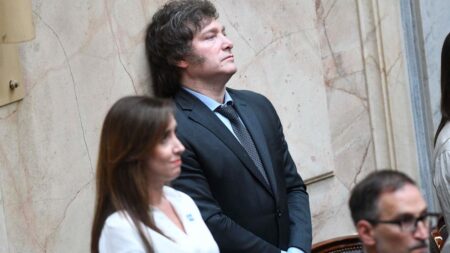 Gobernadores consiguieron la primera marcha atrás de Milei en la «ley Ómnibus» Gobernadores consiguieron la primera marcha atrás de Milei en la "ley Ómnibus" imagen-3