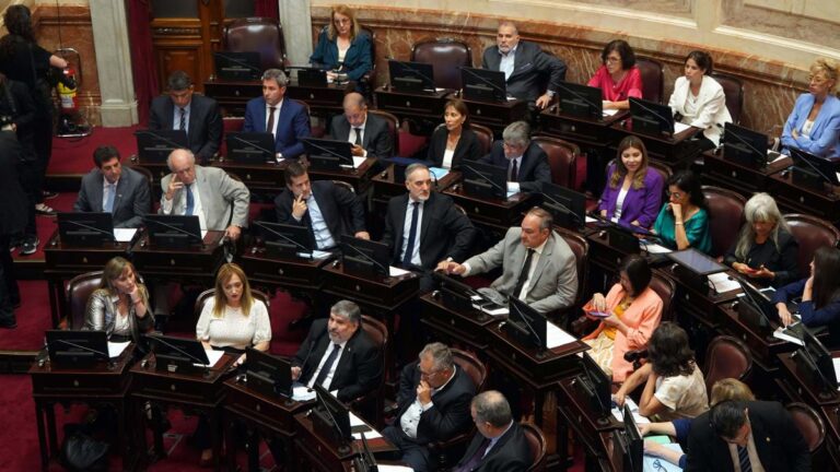 El Senado debate en comisión el proyecto de Boleta Única de Papel imagen-33