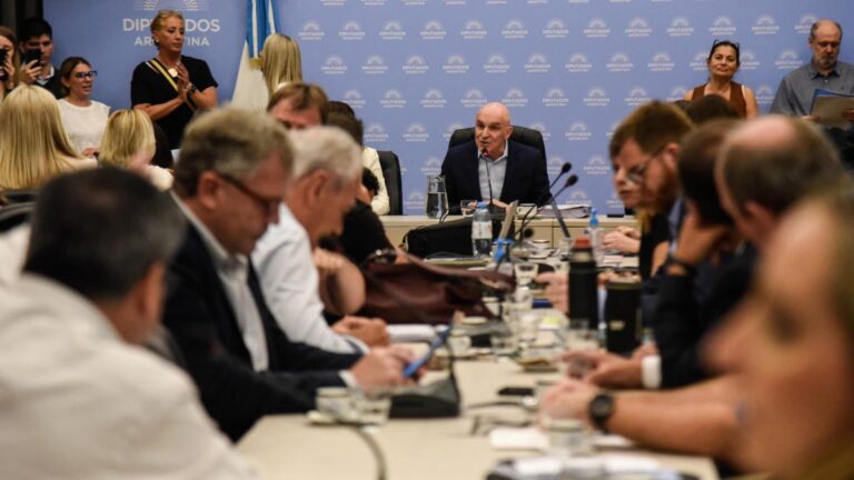 El oficialismo acepta que podrían modificarse aspectos de la ley ómnibus imagen-27