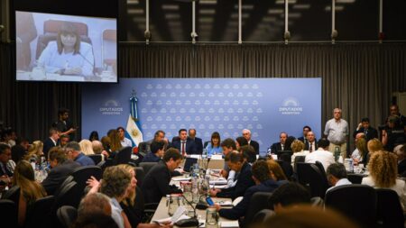 Continúa el debate de la «ley Ómnibus» en el plenario de comisiones de la Cámara de Diputados Continúa el debate de la "ley Ómnibus" en el plenario de comisiones de la Cámara de Diputados imagen-1