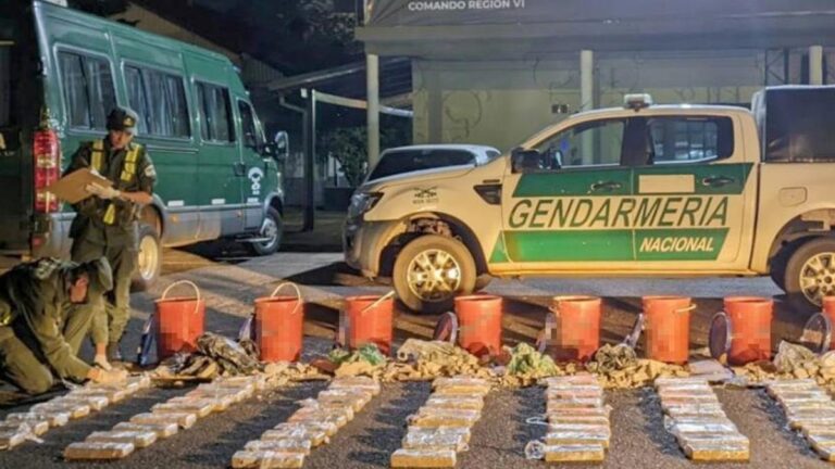 Con la ayuda de "Tom" hallaron más de 90 kilos de marihuana en la Terminal de Ómnibus de Posadas: dos detenidos imagen-50