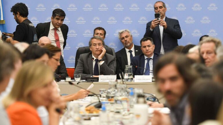 Diputados: se reanudó el debate del proyecto de ley «Bases» en distintas comisiones Diputados: se reanudó el debate del proyecto de ley "Bases" en distintas comisiones imagen-31