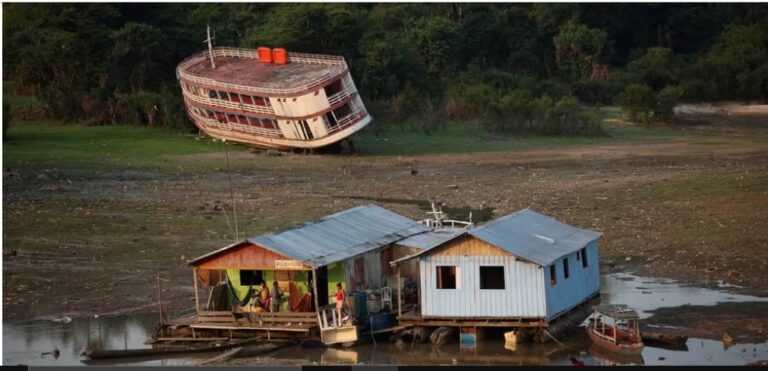 Cómo el calentamiento global está secando y destruyendo el Amazonas imagen-48