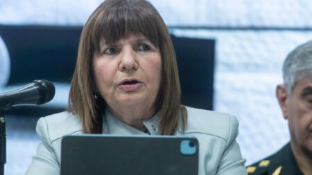Bullrich aseguró que «no hay paro» que «detenga» al Gobierno Bullrich aseguró que "no hay paro" que "detenga" al Gobierno imagen-10