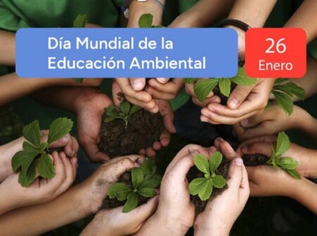 Misiones, pionera en Educación Ambiental imagen-8