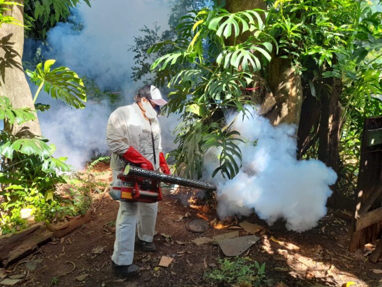 Stelatto instó a los vecinos a ser "solidarios y responsables" en la lucha contra el Dengue imagen-14